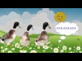 Говорят птицы (голоса птиц). Наши уточки с утра... / Talking birds cartoon. Наше_всё!