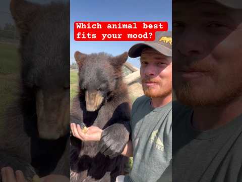 These animals have