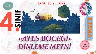 4.SINIF TÜRKÇE 5.TEMA [ ATEŞ BÖCEĞİ ] DİNLEME METNİ (HD)