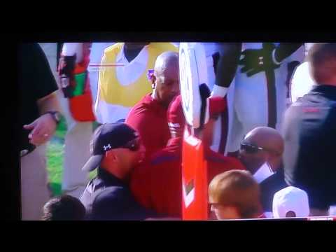 SOUTH CAROLINA DEFENSIVE COACHES SIDELINE FIGHT