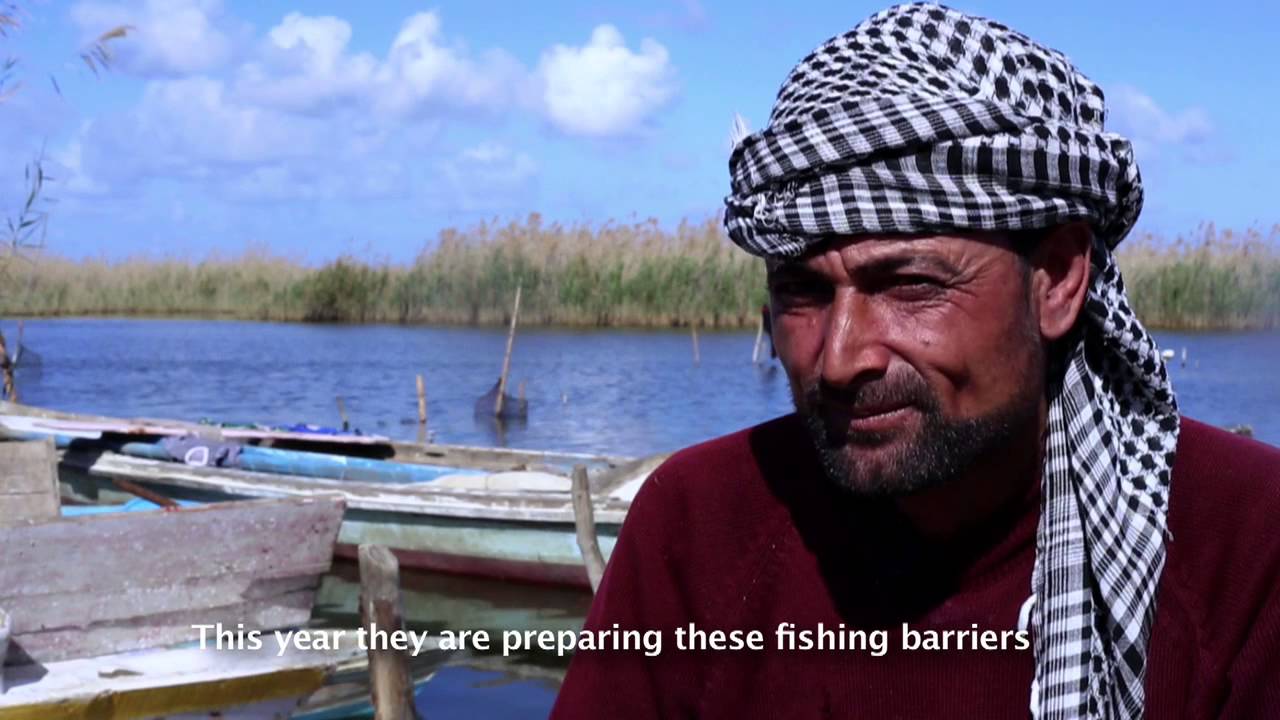 البرلس - ثروة مهددة | Al-Borolos - A Threatened Treasure