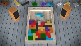 TETRIZ Wood Intelligence Puzzle screenshot 4