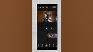 NEON OUTLINE EFFECT - Viva Cut Video Editing App | S Pictures