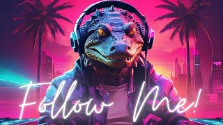 DJ Aligator - Follow Me!