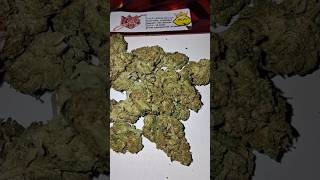 Lemon Royal🍋👑 THCA Flower | JK Distro #420blazeit #smokeweedeveryday #fypyoutube #cannabisdaily