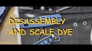 CJRB Prado disassembly 🔧 and scale dye