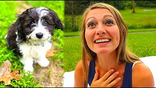 SURPRISING MY GIRLFRIEND WITH A PUPPY?!