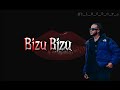 Bizu Bizu By Fernando Video Lyrics