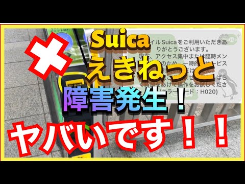 【緊急‼️】Suicaやえきねっとで大規模障害！何がダメで何ができるかなど、対策含めまとめました‼️