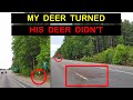 My Deer Turned, His Deer Didn&#39;t