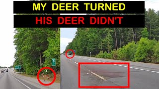 My Deer Turned, His Deer Didn&#39;t