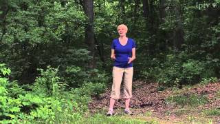 Lacey-Keosauqua State Park screenshot 5