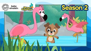 Let's Explore: Opposites with Flamingos! | Ocean Explorers Season 2 | Baby Einstein | Learning Show