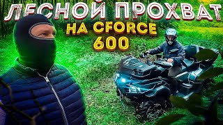 Прохват по лесу на Cfmoto Cforce 600