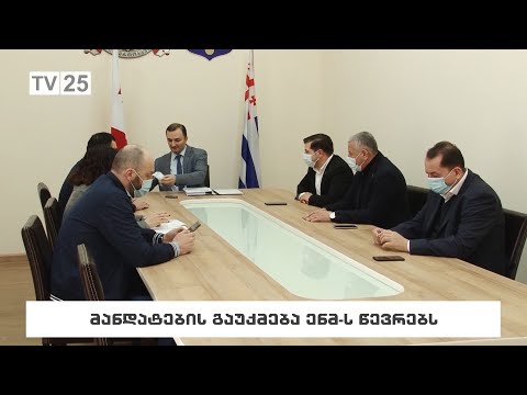 მანდატების გაუქმება ენმ-ს წევრებს