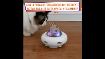 Juguete Ovni para Gatos