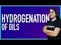 Hydrogenation of oils