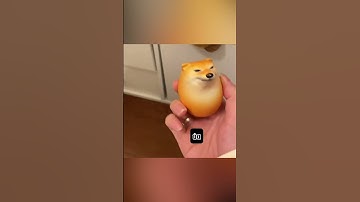 Trứng cao su chó Shiba