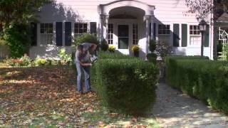 Ego Power 56 Volt Cordless Hedge Trimmer