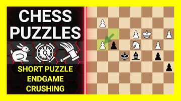 Chess Puzzles to Practice. Themes: Short puzzle, Endgame, Crushing. Learn Chess
