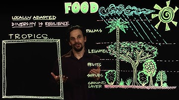 Permaculture Design for Food