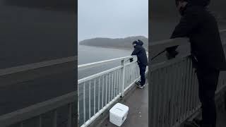 Danimarka Kopenhag Holbaek Bridge Sild ( Ringa balığı ) avı. Soğuk rüzgârlı ama güzel bir gündü :)