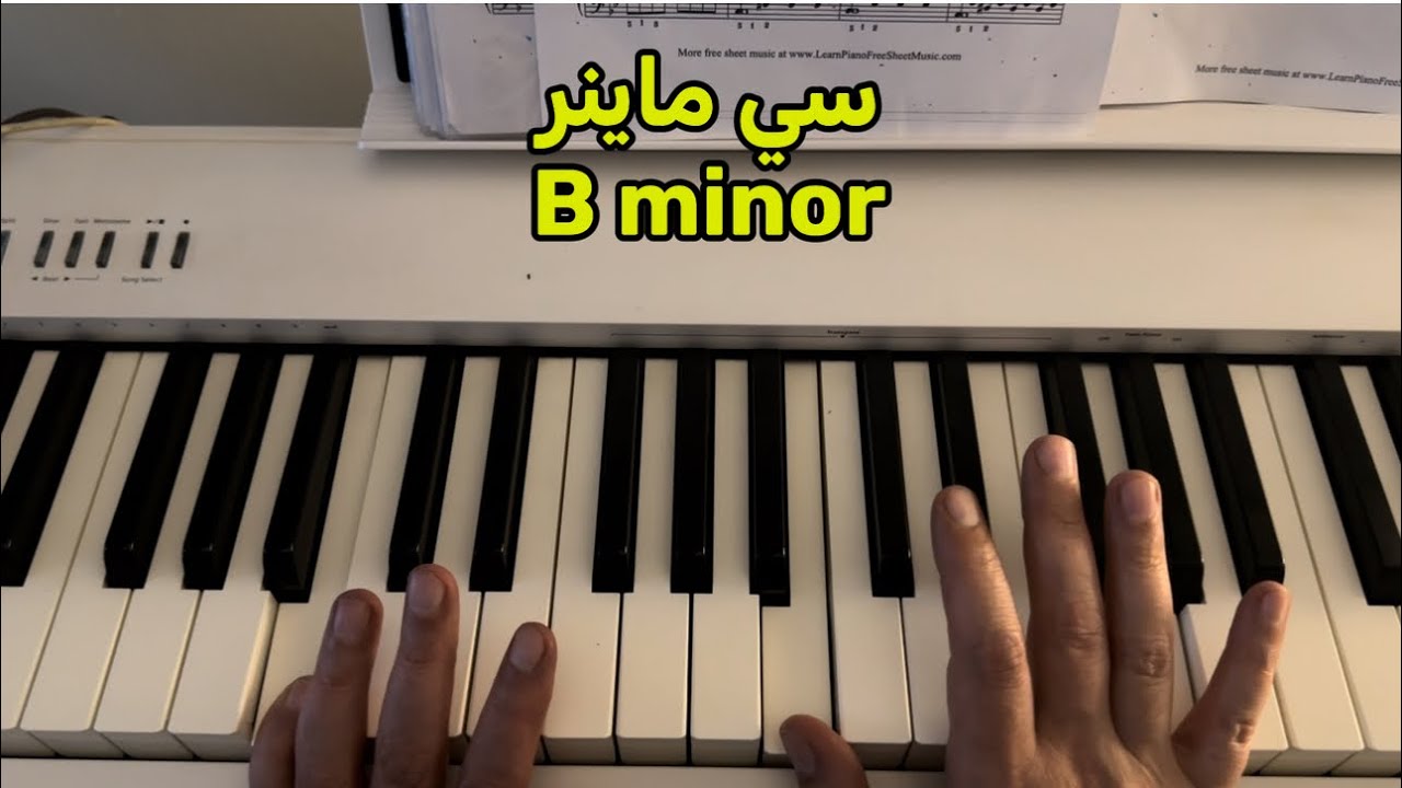 سلم سي ماينر الصغير كورس السلالم الماينر الصغيره