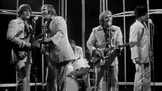 Beach Boys - Wouldn't It Be Nice (1966) Resimi