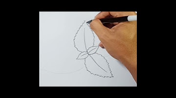 How to draw Mint Leaf Easy #shorts
