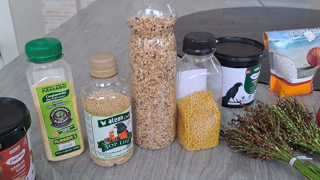 MELHOR ALIMENTAÇÃO PARA SEU AZULÃO EM 2026