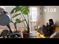 【vlog】50代女/別居8年/今が1番「自由」なんじゃないか/今日何着る