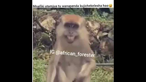 Huyu ndo Mnafiki wa kinyakyusa sasa