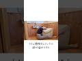 トイレ掃除をしていたら、涙が溢れてきた。#トイレ掃除#掃除#断捨離