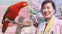 직장 옆에 300여 마리의 새들을 기르는 ‘새 엄마’ @순간포착 세상에 이런 일이 980회 20180412, 독학으로 이룬 전문가급 재능 ‘14세 특수분장 소녀’ @순간포착 세상에 이런 일이 980회 20180412, SBS 순간 포착 세상에 이런 일이 768회(다시보기) #15(3), SBS 순간 포착 세상에 이런 일이 768회(다시보기) #15(1), 놀라운 속도와 정확성! 거꾸로 글씨를 쓰는 여인 @순간포착 세상에 이런 일이 980회 20180412