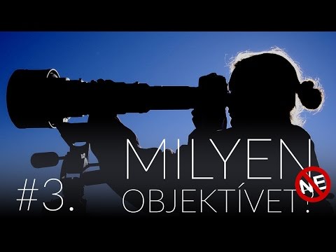 Videó: Milyen Jogágak Léteznek