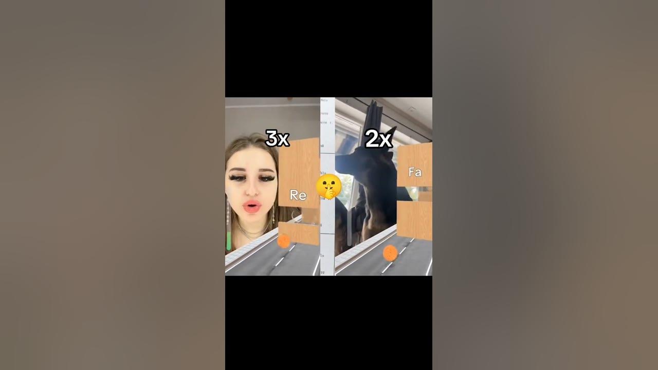Собака быстрее Эвелин,и это ваша певица?) - YouTube