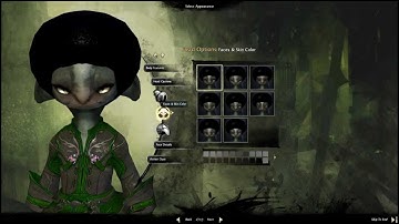 Asura Necromancer Character Creation - Guild Wars 2 Beta