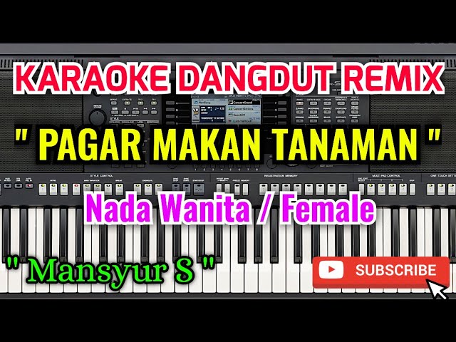 Pagar Makan Tanaman Karaoke - Karaoke Pagar Makan Tanaman Nada Wanita / Female - Mansyur S class=