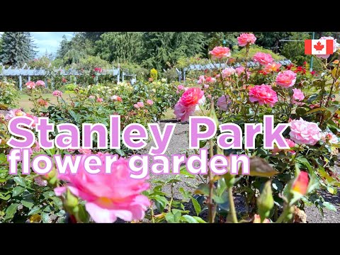 Video: Gabay sa Stanley Park Gardens sa Vancouver, BC