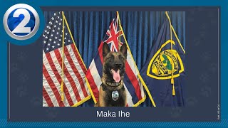 Two new K9 join Maui Police Department