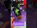 Oroscopo Settimanale Capricorno #oroscoposettimanale #tarot #astrologia #capricorn