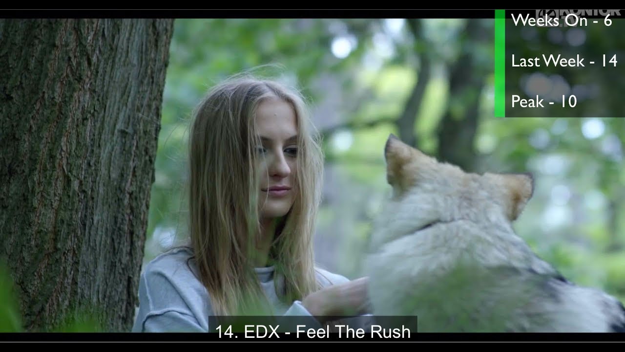 Top 20 EDM Songs of June 2017 (Week of June 24)