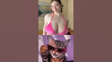 Give this video title #cat #meme #dance