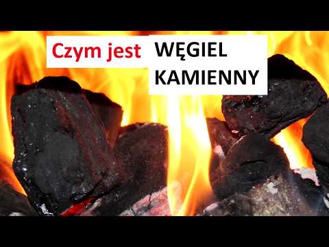 Wideo: Co to jest węgiel wyjaśnić?