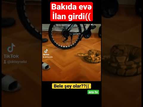 Video: Hansı siyahı markerli siyahıdır?