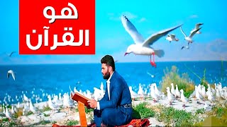 Maher Zain - Huwa AlQuran / نشيد : هو القرآن❤️ (فيديو كليب)ماهر زين