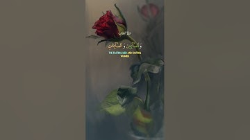 سورة الأحزاب قرآن كريم راحة نفسية #يارب #حالات_واتس #لايك #راحة_نفسية