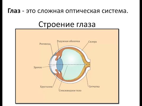 Профилактика нарушения зрения. (Для 5-8 классов).