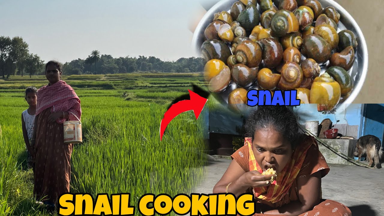 Big snail cooking(ghongha) |dumka|