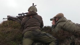 Red Stag Stalking in the Scottish Highlands